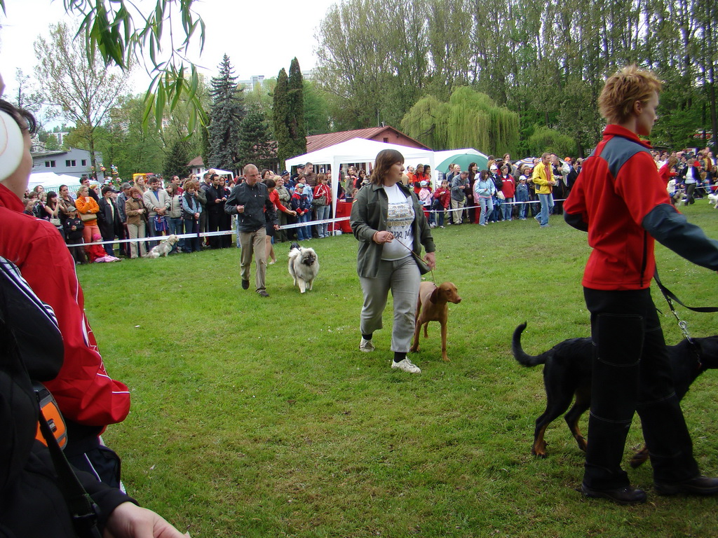 Celoštátna výstava psov Banská Bystrica 04.05.2008