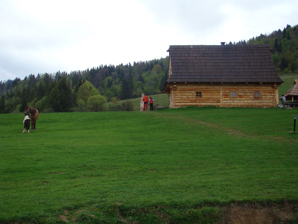 Celoštátna výstava psov Banská Bystrica 04.05.2008