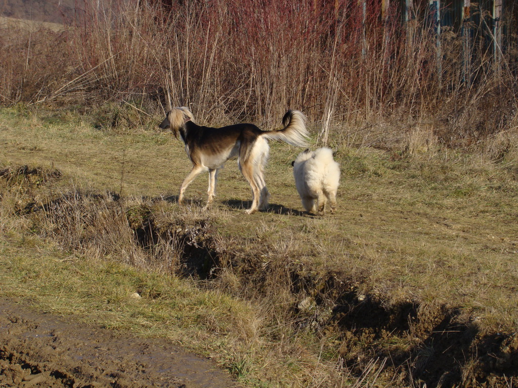 Jahodná 09.02.2008