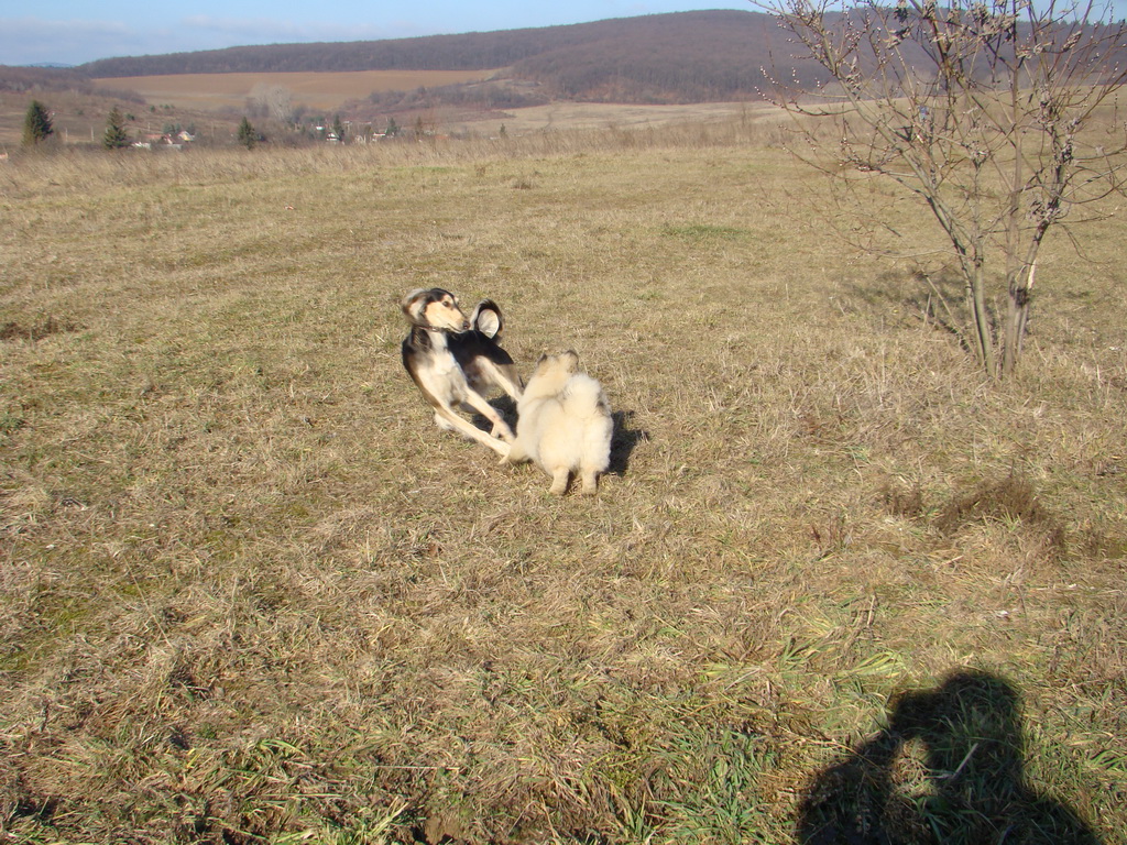 Jahodná 09.02.2008