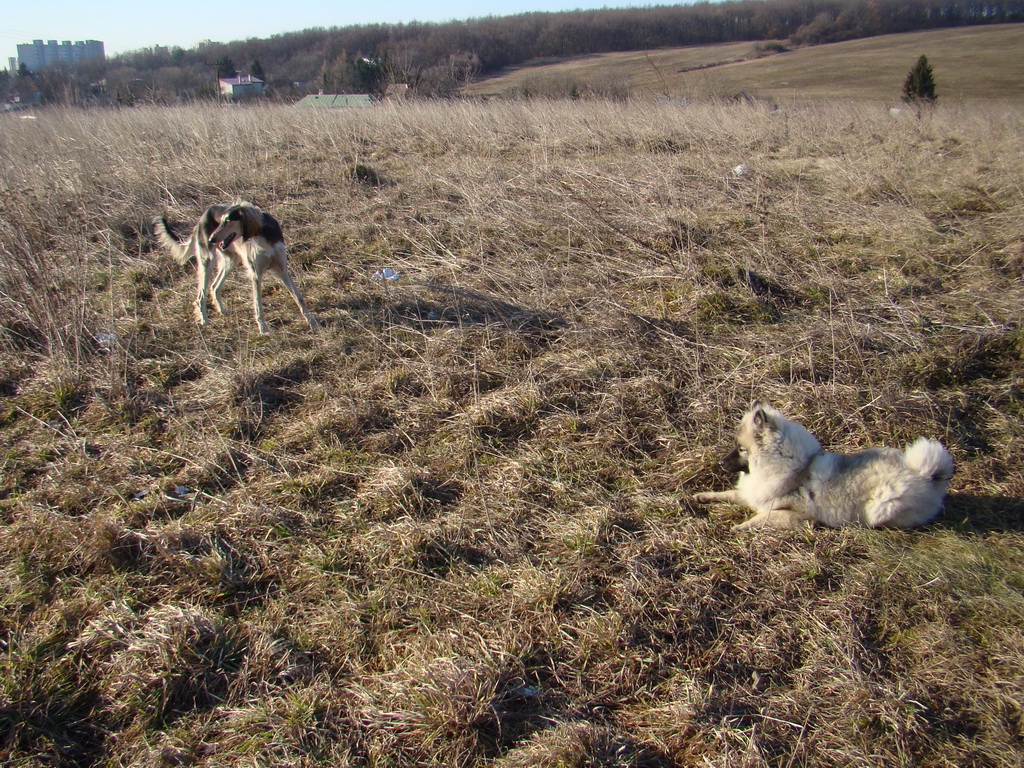 Jahodná 09.02.2008