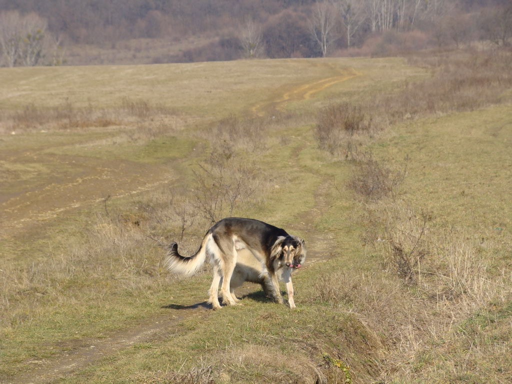 Jahodná 09.02.2008