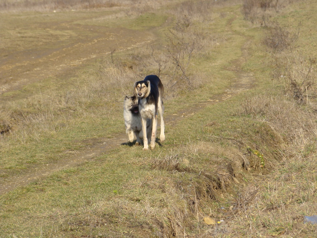 Jahodná 09.02.2008