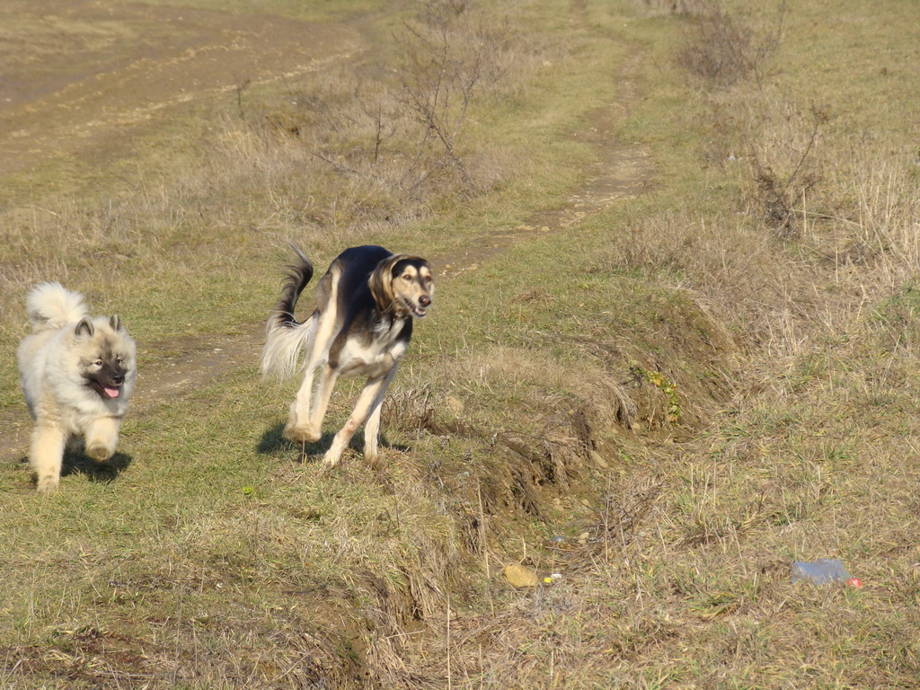 Jahodná 09.02.2008