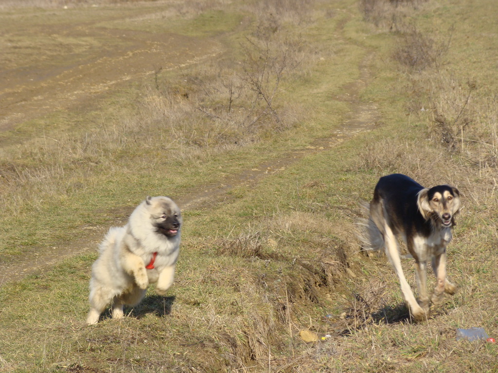 Jahodná 09.02.2008