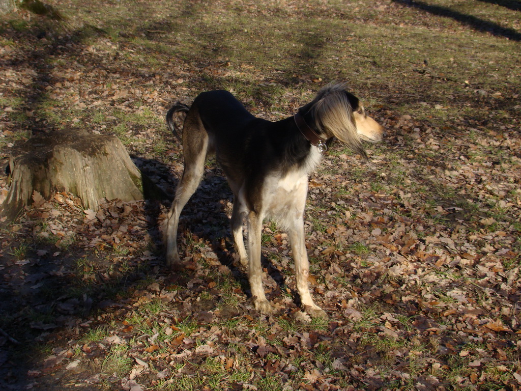 Jahodná 09.02.2008