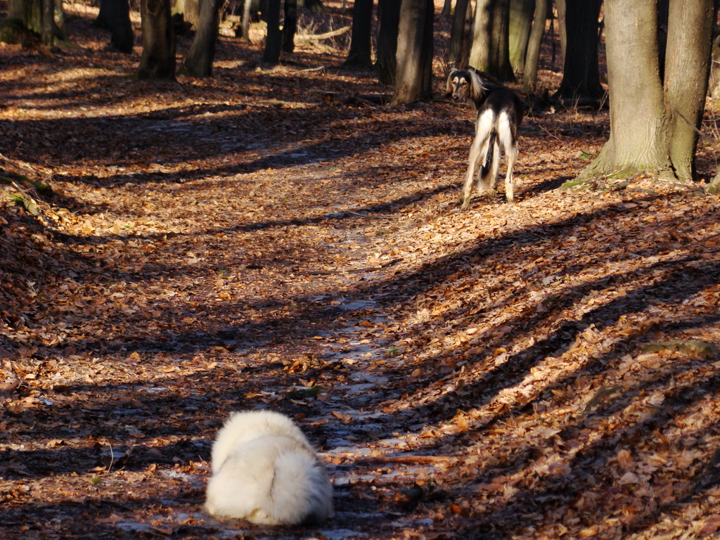 Jahodná 09.02.2008