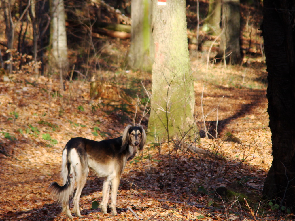 Jahodná 09.02.2008