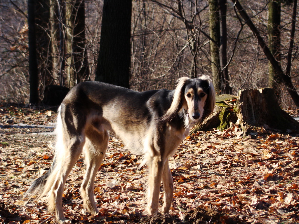 Jahodná 09.02.2008