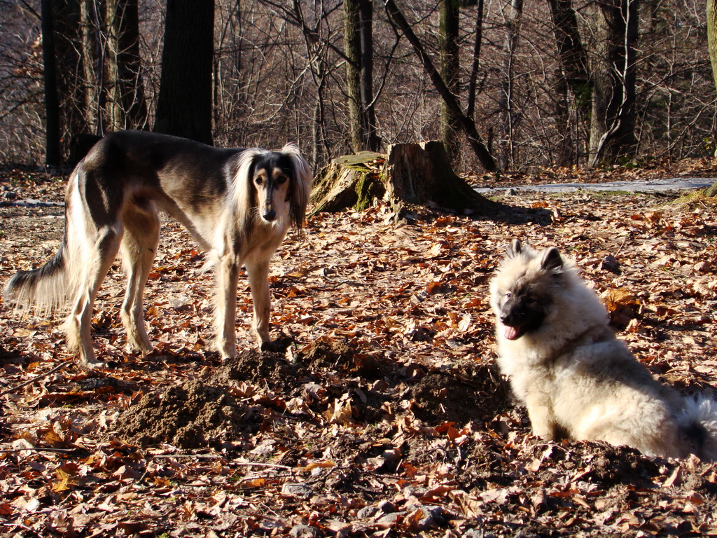 Jahodná 09.02.2008