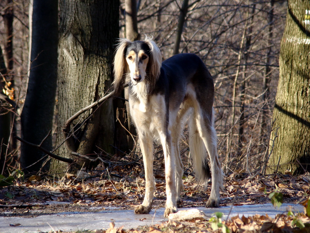 Jahodná 09.02.2008