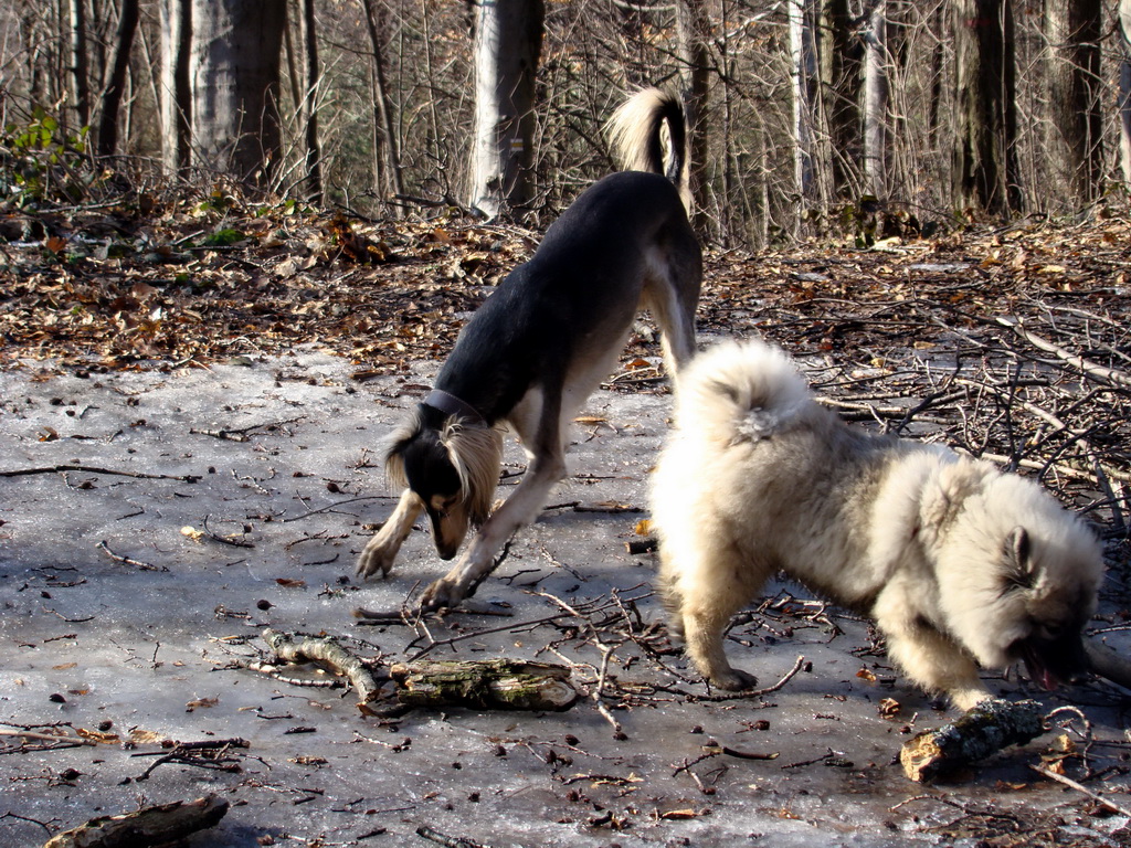 Jahodná 09.02.2008