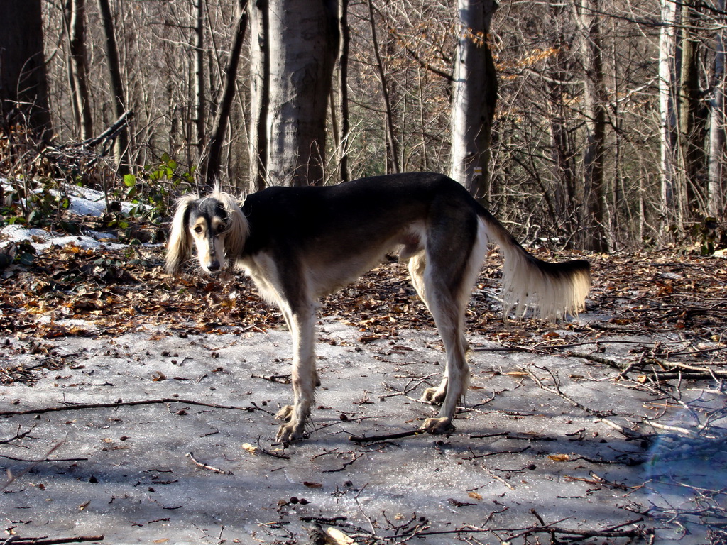 Jahodná 09.02.2008