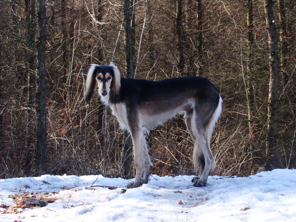 Jahodná 09.02.2008