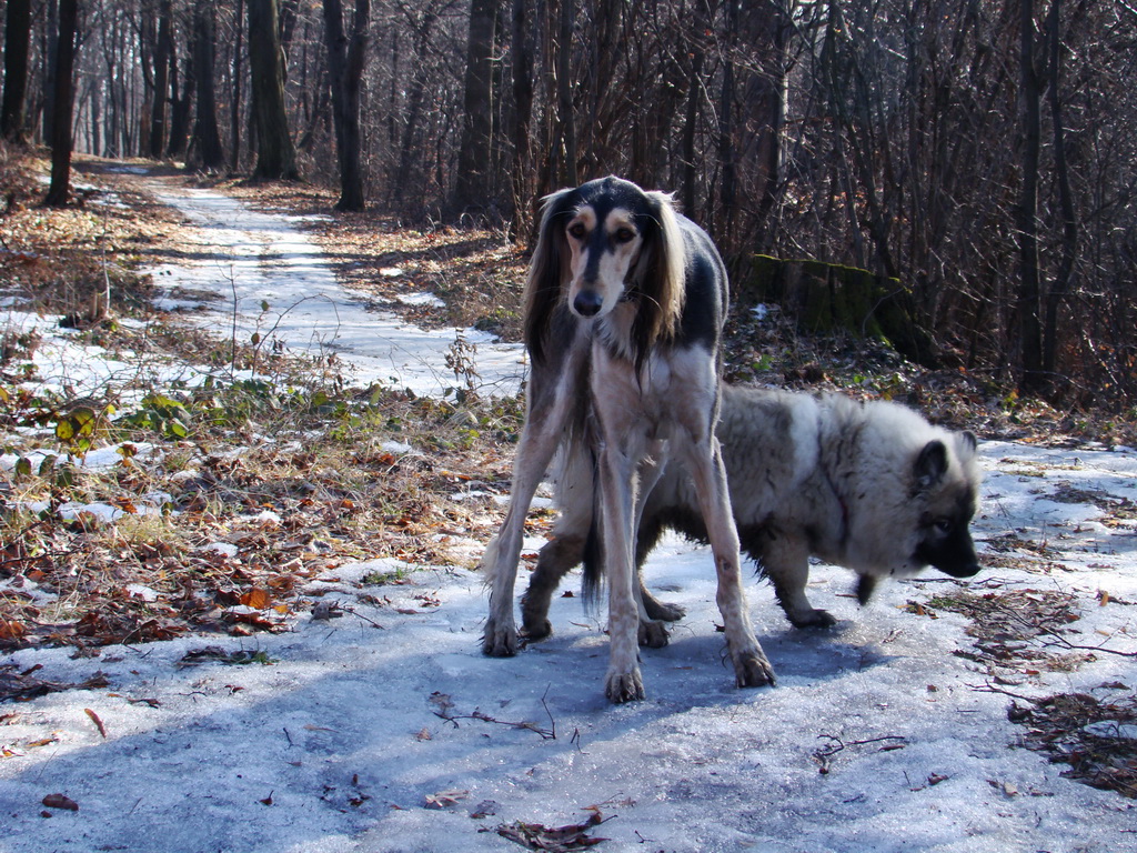 Jahodná 09.02.2008