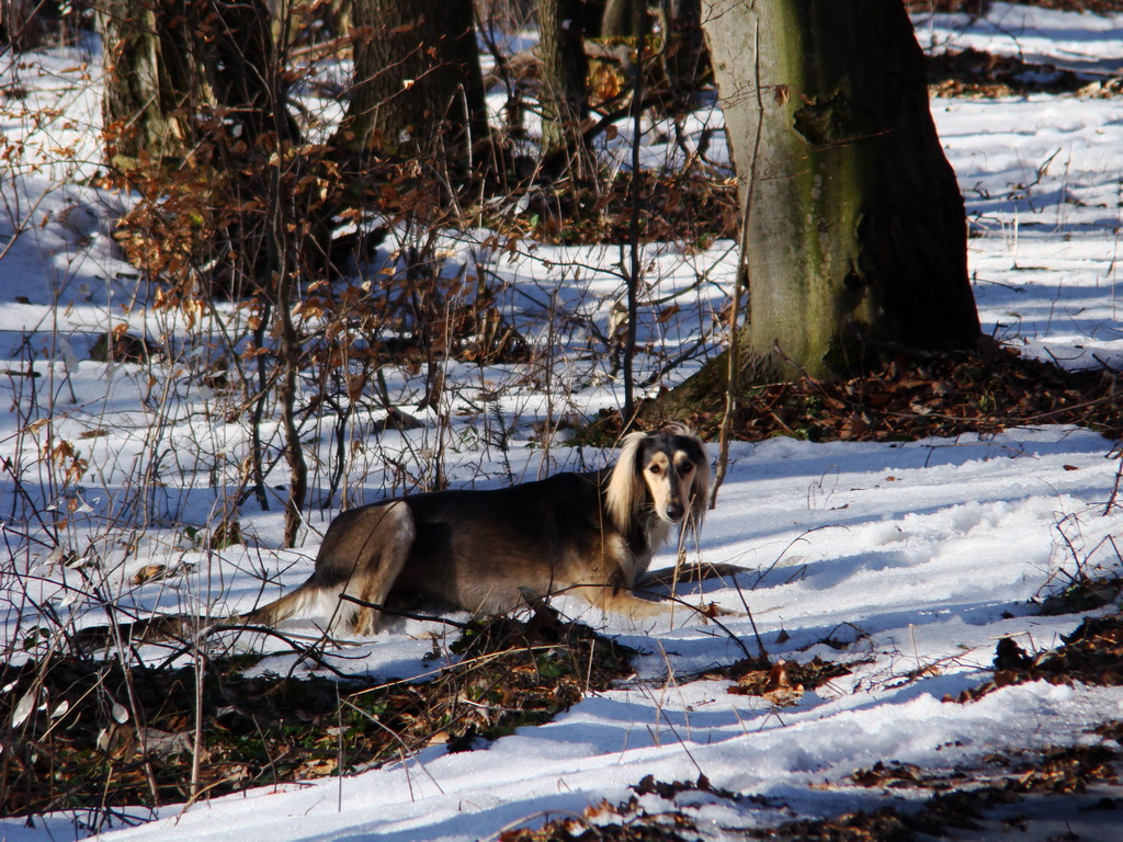 Jahodná 09.02.2008