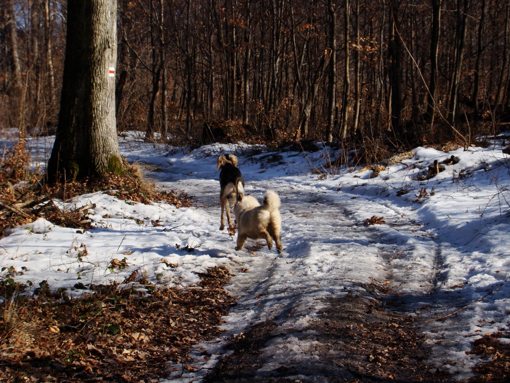 Jahodná 09.02.2008