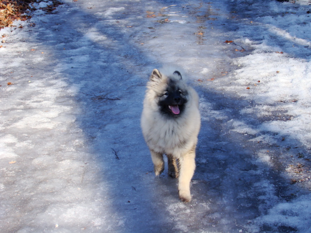 Jahodná 09.02.2008