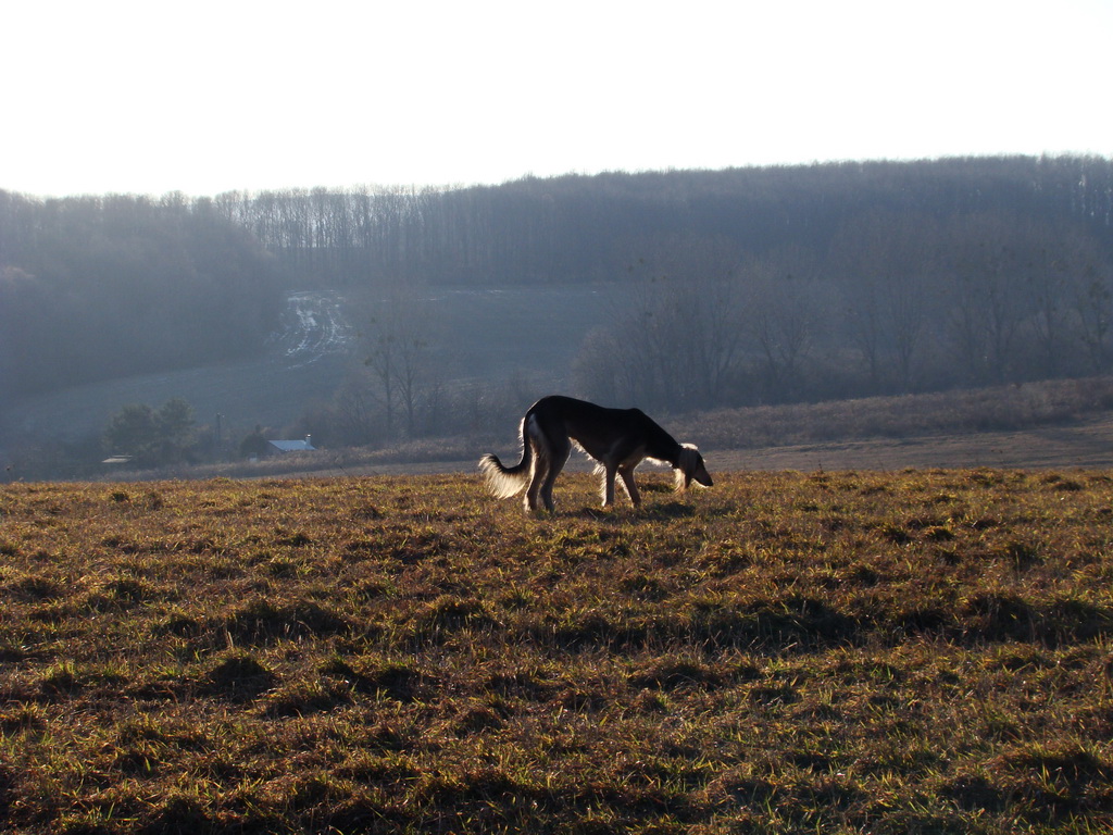 Jahodná 09.02.2008