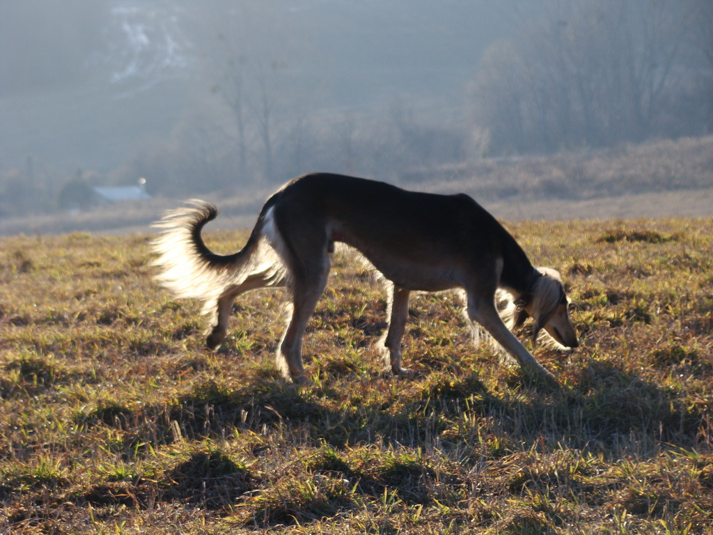 Jahodná 09.02.2008