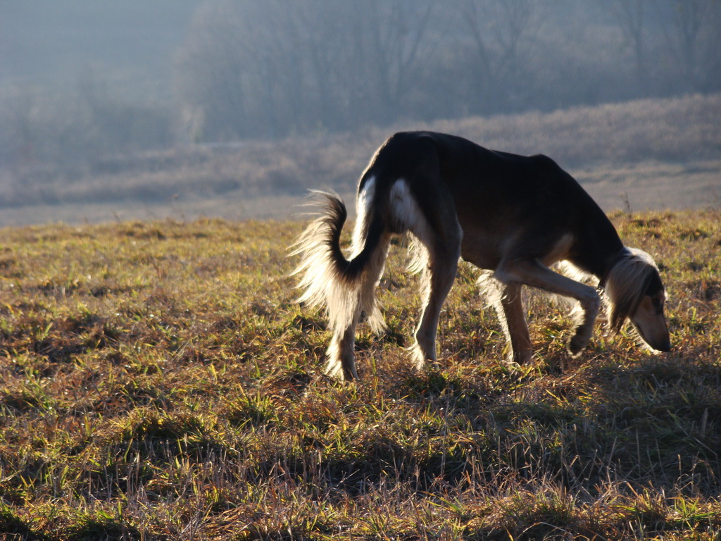 Jahodná 09.02.2008