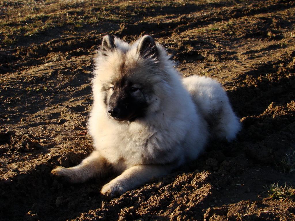 Jahodná 09.02.2008