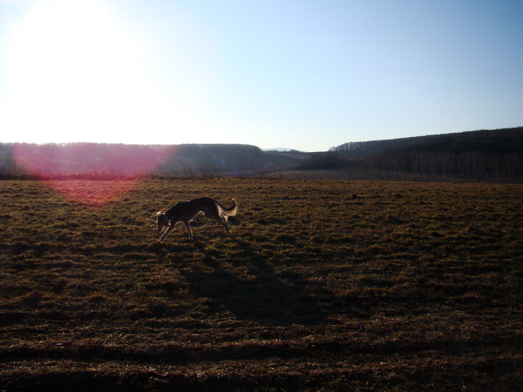 Jahodná 09.02.2008