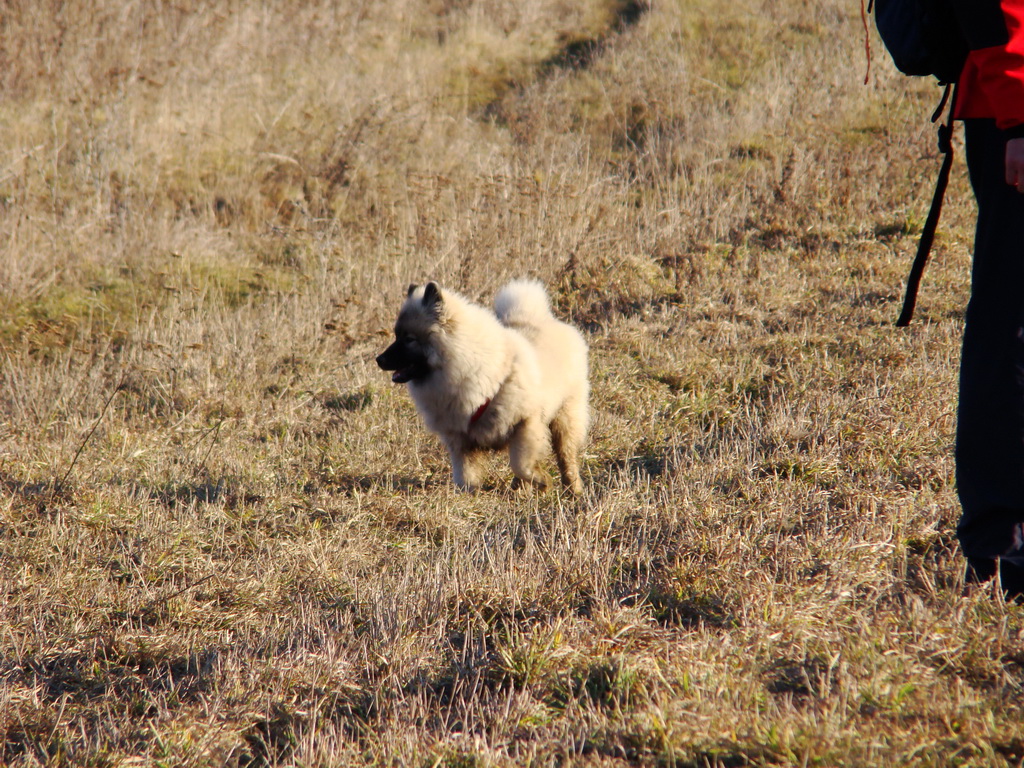 Jahodná 09.02.2008