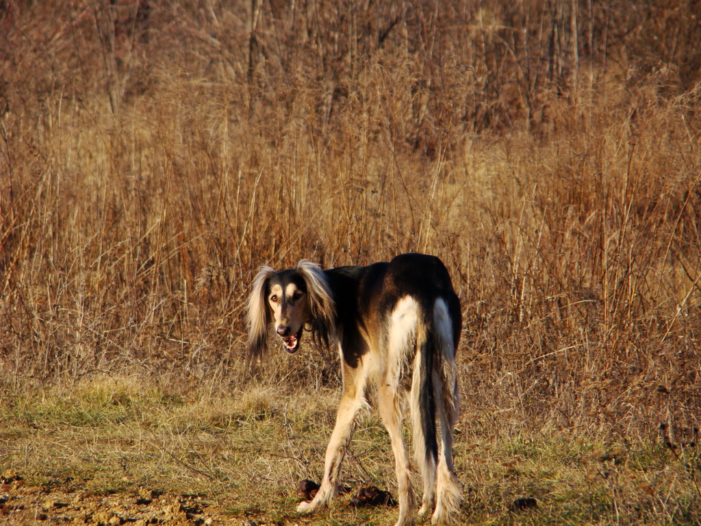 Jahodná 09.02.2008