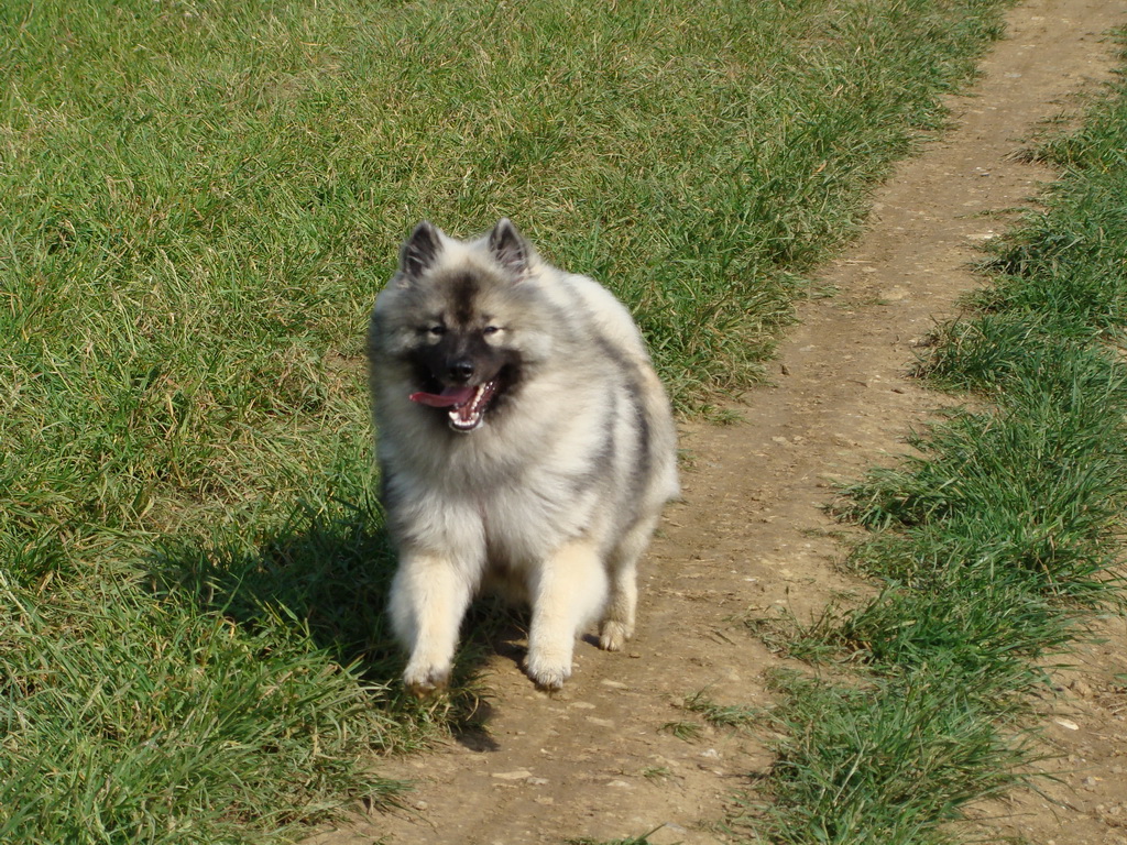 Jahodná 25.05.2008