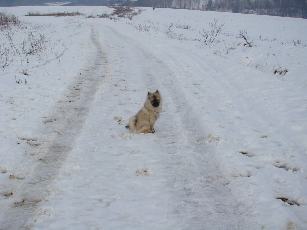 Kamenný hrb 13.1.2008