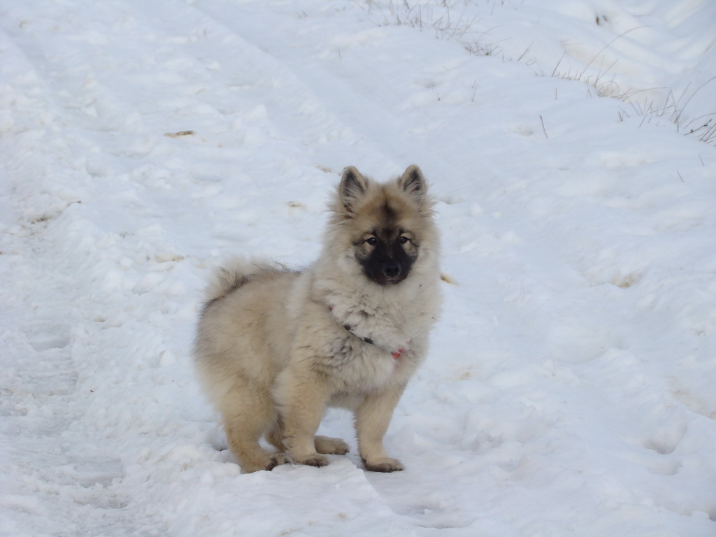 Kamenný hrb 13.1.2008