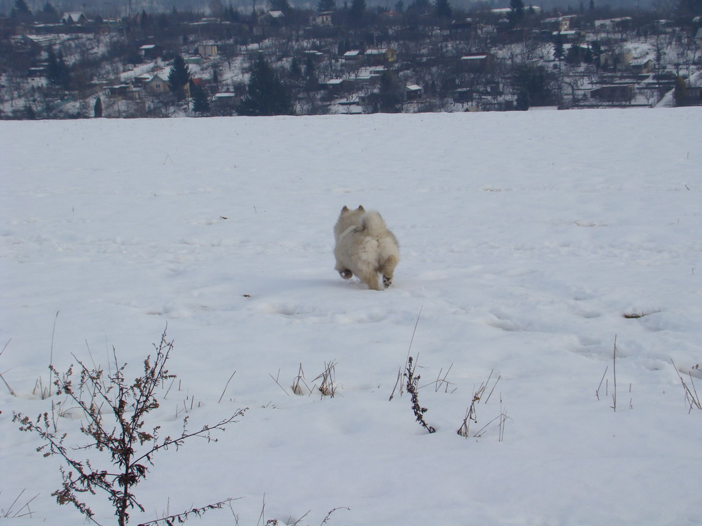 Kamenný hrb 13.1.2008