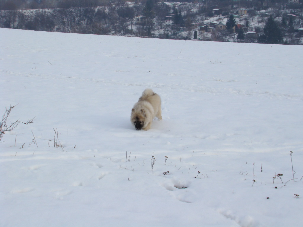 Kamenný hrb 13.1.2008