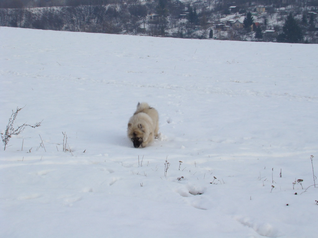 Kamenný hrb 13.1.2008