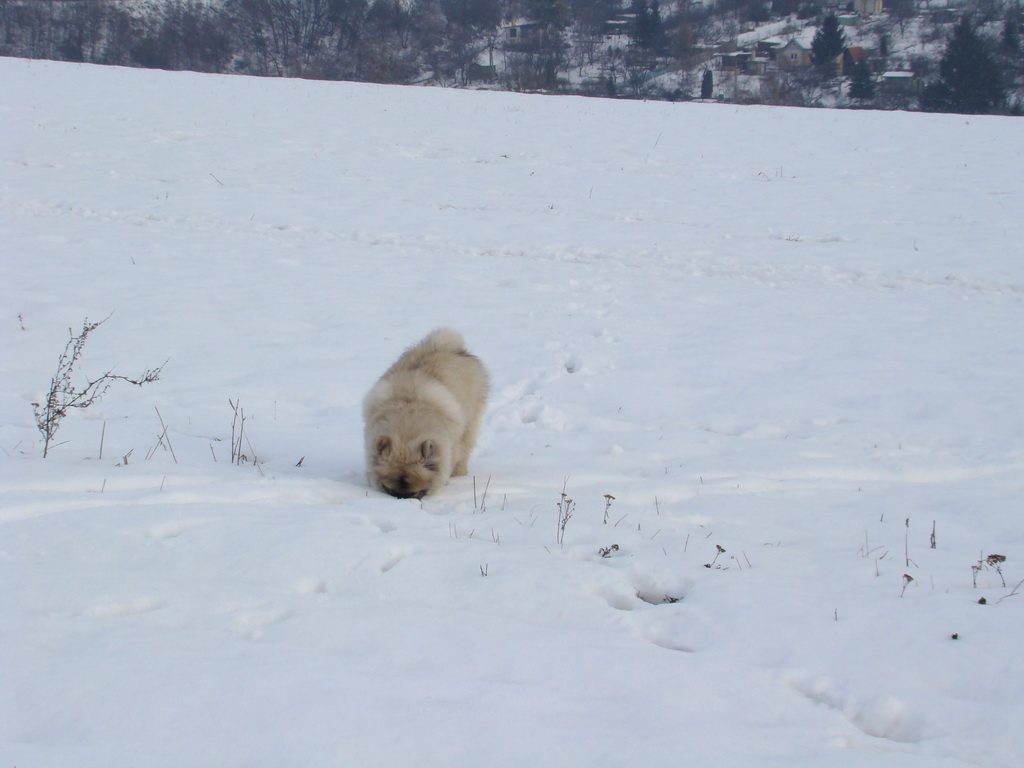 Kamenný hrb 13.1.2008