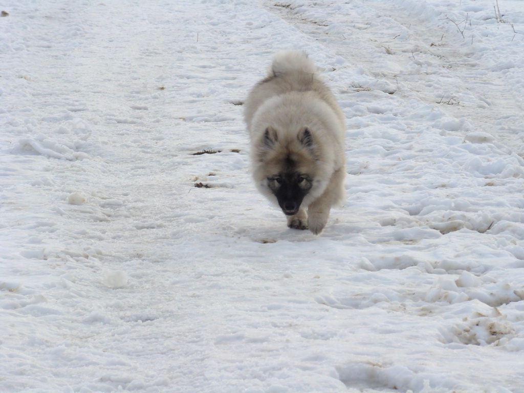 Kamenný hrb 13.1.2008