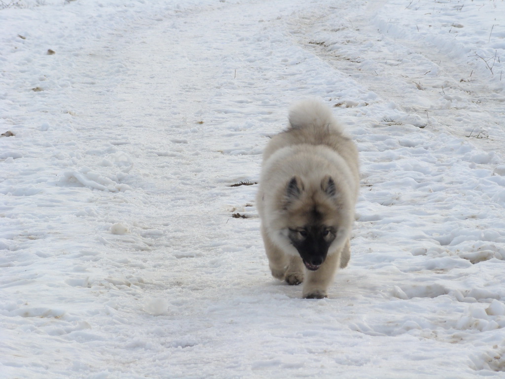 Kamenný hrb 13.1.2008