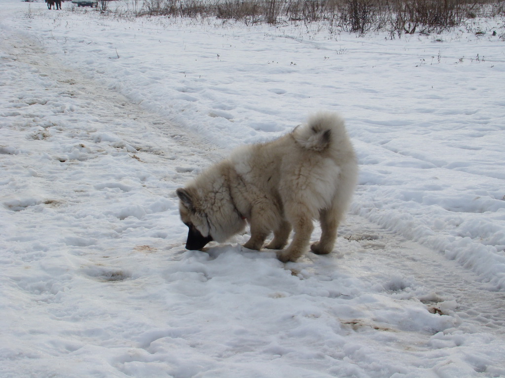 Kamenný hrb 13.1.2008