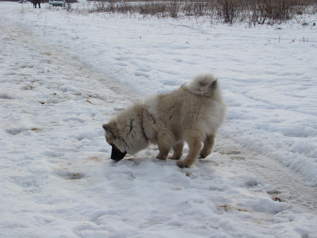 Kamenný hrb 13.1.2008