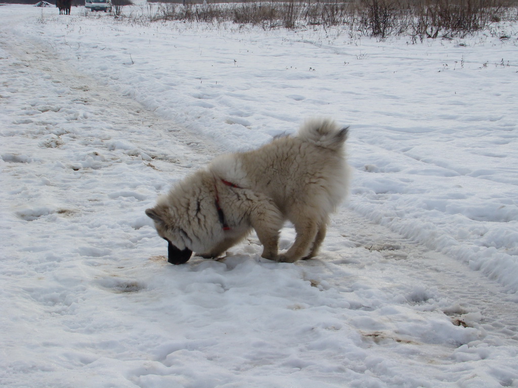 Kamenný hrb 13.1.2008