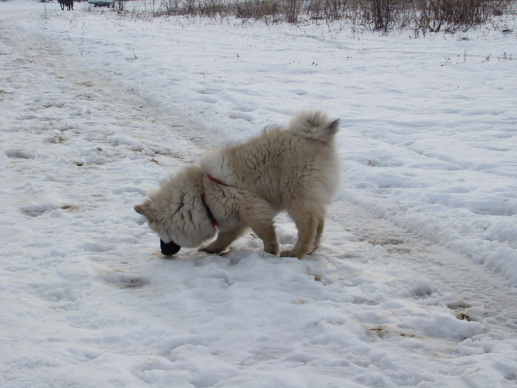 Kamenný hrb 13.1.2008