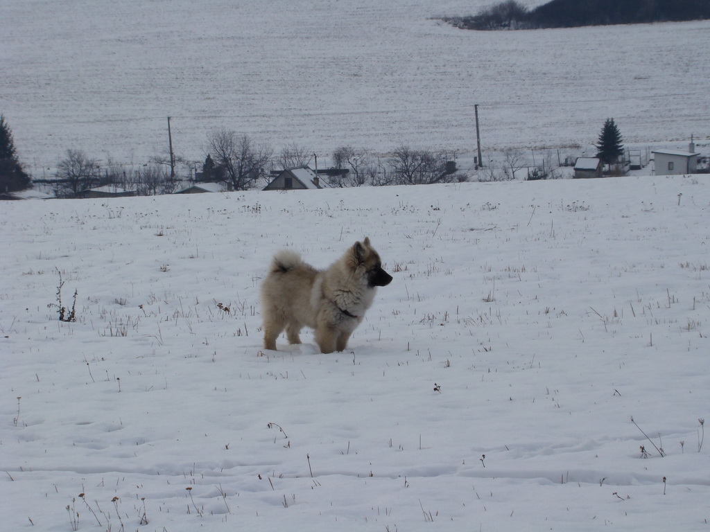 Kamenný hrb 13.1.2008