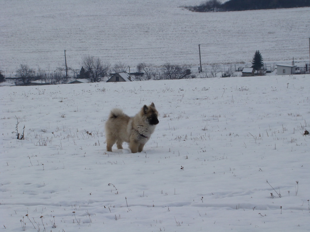 Kamenný hrb 13.1.2008