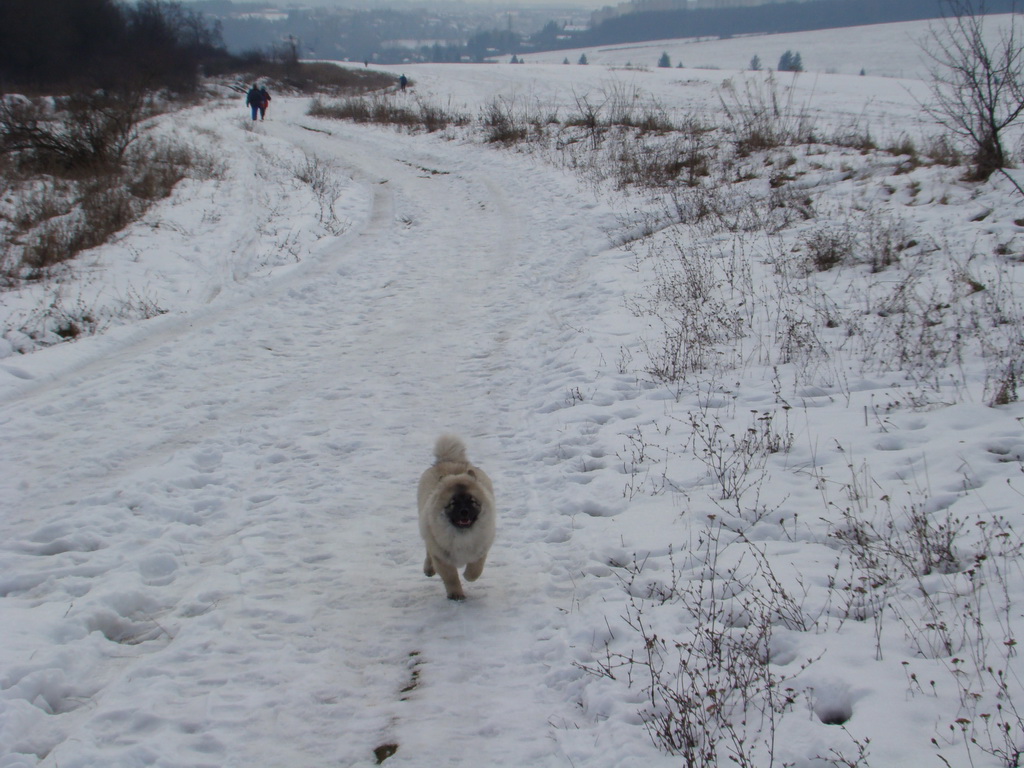 Kamenný hrb 13.1.2008