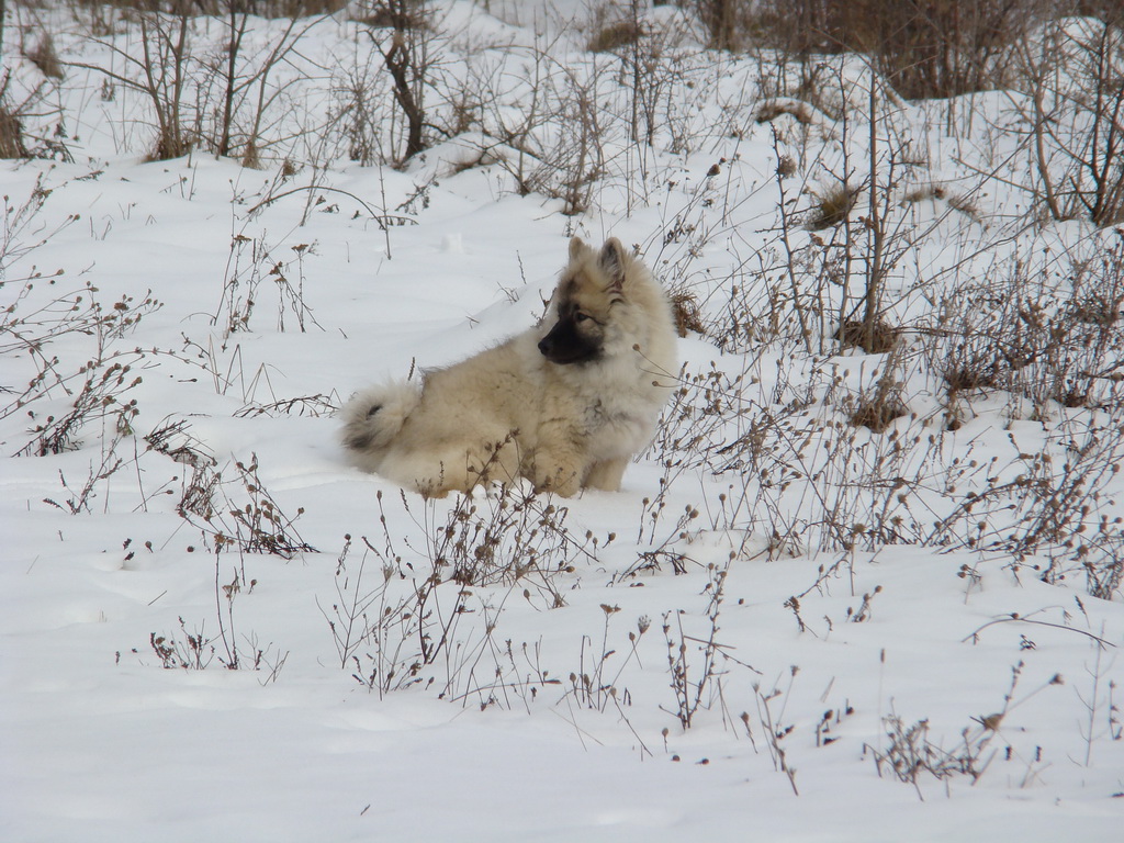 Kamenný hrb 13.1.2008