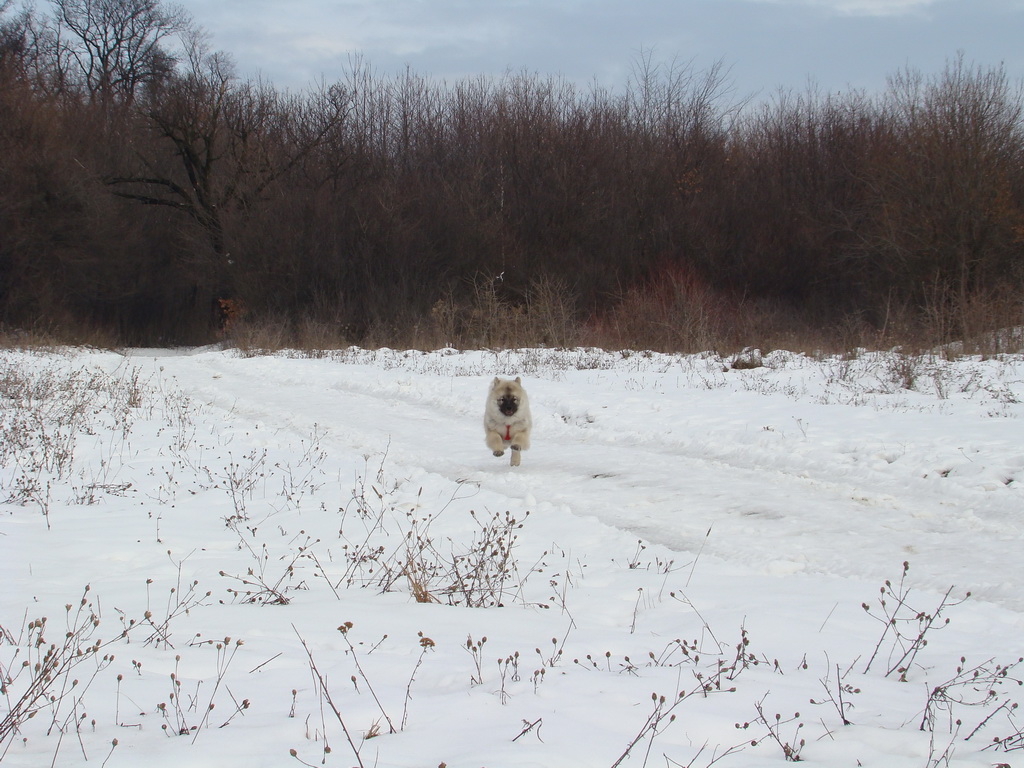 Kamenný hrb 13.1.2008