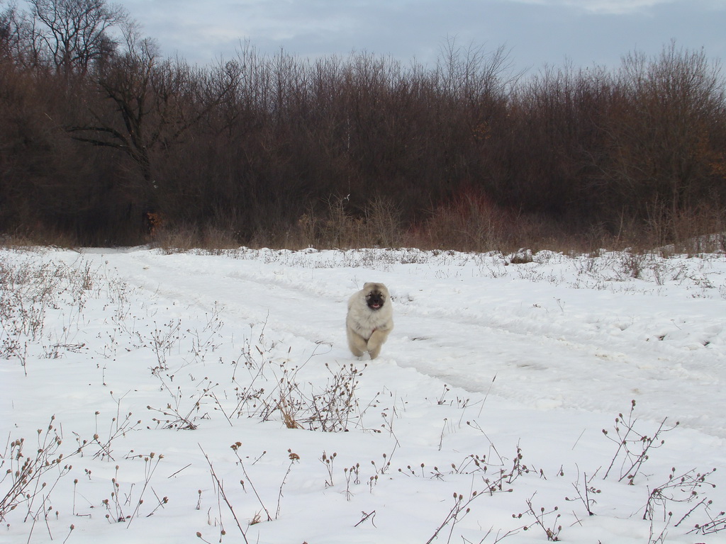 Kamenný hrb 13.1.2008