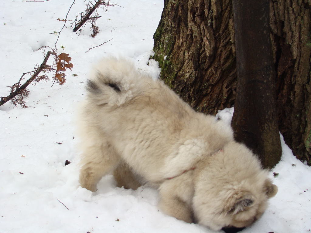 Kamenný hrb 13.1.2008