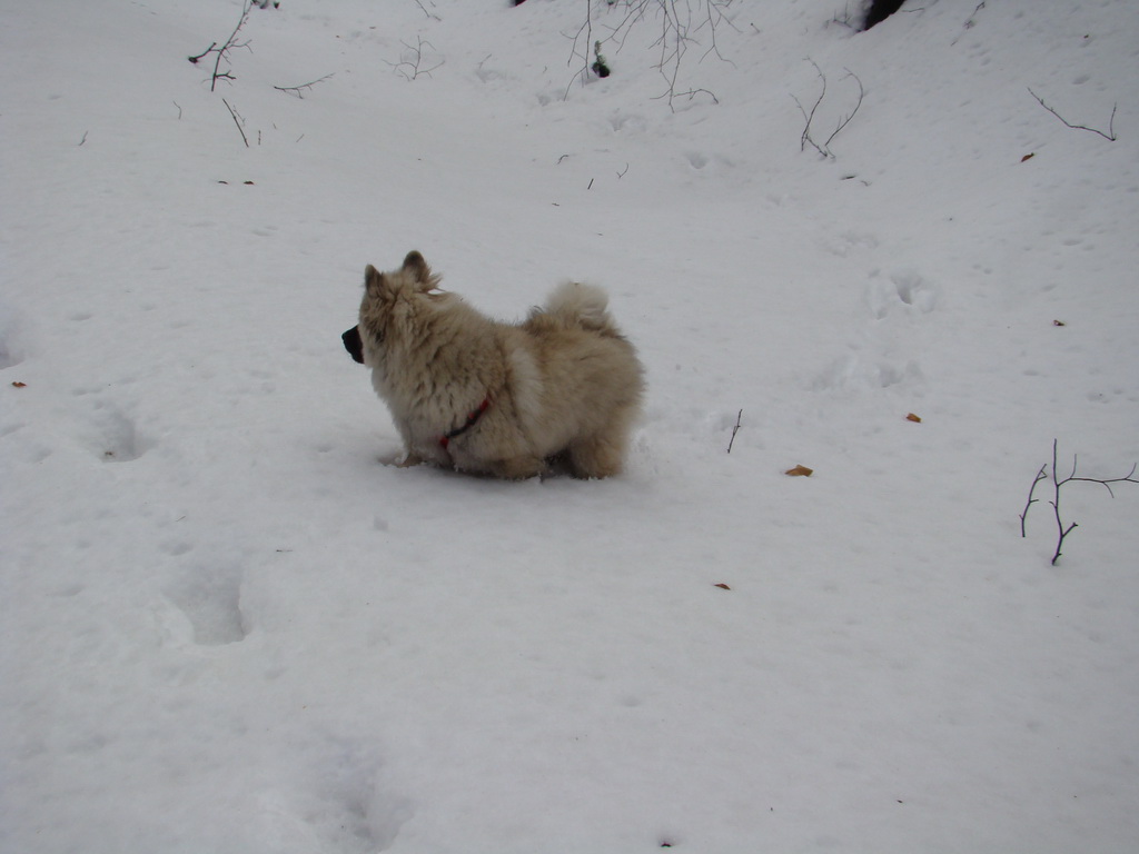 Kamenný hrb 13.1.2008